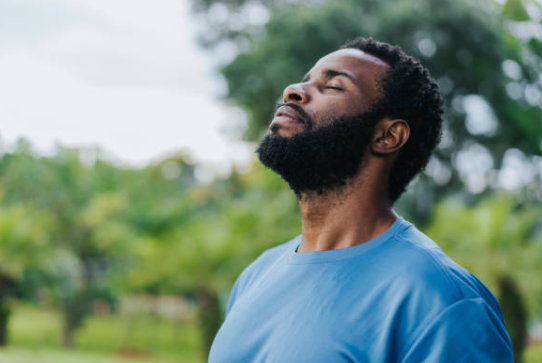 Bienvenido al sitio del Notario